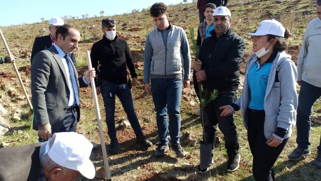 Milli Ağaçlandırma Günü Etkinlikleri